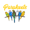 Budgerigar Parakeet Bird Pet Gift