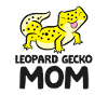 Leopardgecko Mama Eidechse Reptil Leopardgecko