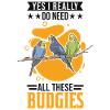 Budgerigar Gift Welli cockatiel