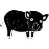 Pig Symbol Animal Baby contraste