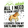 Shetlandpony Shetland-Pony Shetty