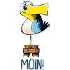 lustige Moin Moewe