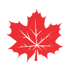 Leaf Maple Leaf Canada Tree