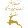 Winter Wonderland
