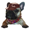 Frenchie, Bully, French Bulldog, Gift