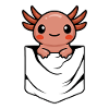 Anime Axlotl