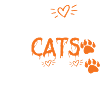 Black Cats Only