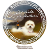Whisky Dicton Single Maltais
