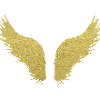 wings,angel wings,wings,angels,guardian angels,gold