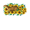 fischotter