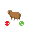 capybara