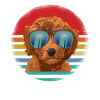 Chien Goldendoodle