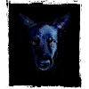 Black Dog - the black dog