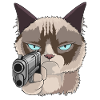 Cat with pistol