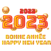 The New Year 2023