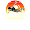 Skydiving Parachuting Parachute