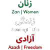 Iran Revolution | Women. Life. Freedom
