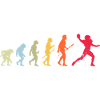 Football Evolution