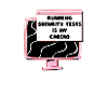 Cybersecurity - IT Security Computer Scientist