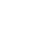 Ragdoll/British Short Hair