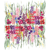Bunte Wildblumen