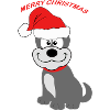 Cute dog with Christmas hat