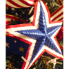 American Christmas Poinsettia