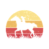 Dieses Mädchen Liebt Pferde Reiten