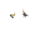 Cockatiel Cockatoo Parrot Bird Gift