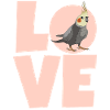 cockatiel cockatoo parrot bird gift