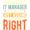 It Manager