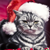 christmas cat
