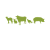 Veggie Lover Vegan Gift