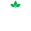 Veggie Lover Vegan Gift