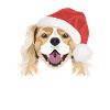 King Charles Spaniel Merry Christmas