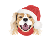 King Charles Spaniel Merry Christmas
