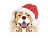 King Charles Spaniel Merry Christmas