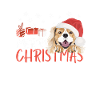 King Charles Spaniel Merry Christmas