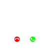 Australian Terrier