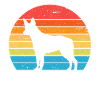 Australian Stumpy Tail Cattle Dog