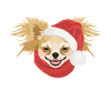 Chihuahua Merry Christmas