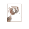 furet Iltis
