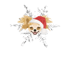 Chihuahua Merry Christmas
