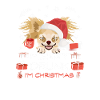 Chihuahua Christmas Market