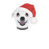 Chihuahua Merry Christmas