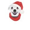 Chihuahua Merry Christmas