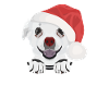 Chihuahua Merry Christmas