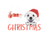 Chihuahua Merry Christmas