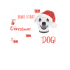 Chihuahua Merry Christmas