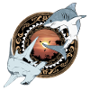 Hammerhead Great White Shark Hawaiian